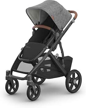 UPPAbaby Vista V3 Convertible Single-to-Double Stroller - Greyson | One...